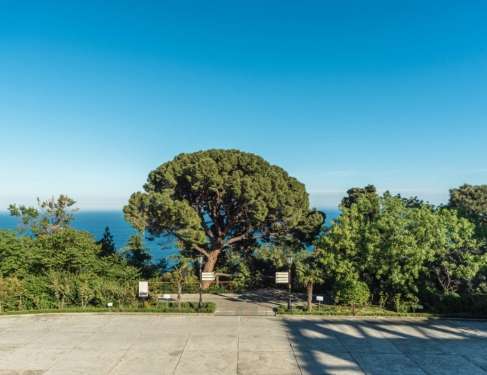 Санаторий «Нижняя Ореанда» Ореанда